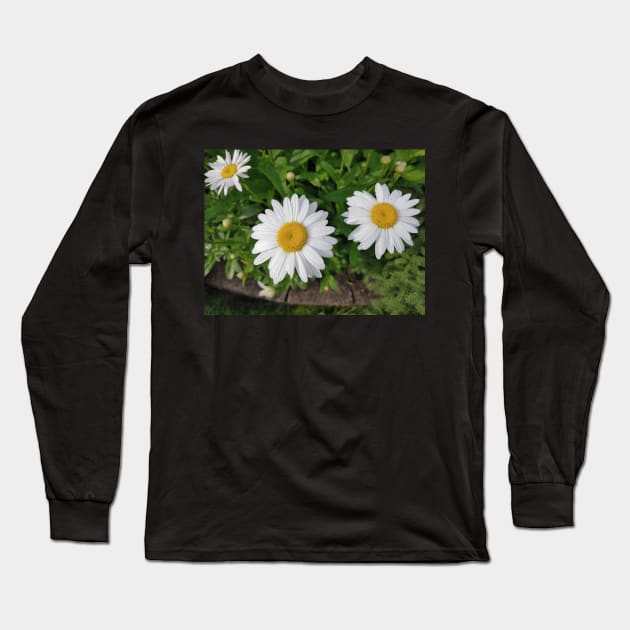 Daisy Long Sleeve T-Shirt by Drgnfly4free